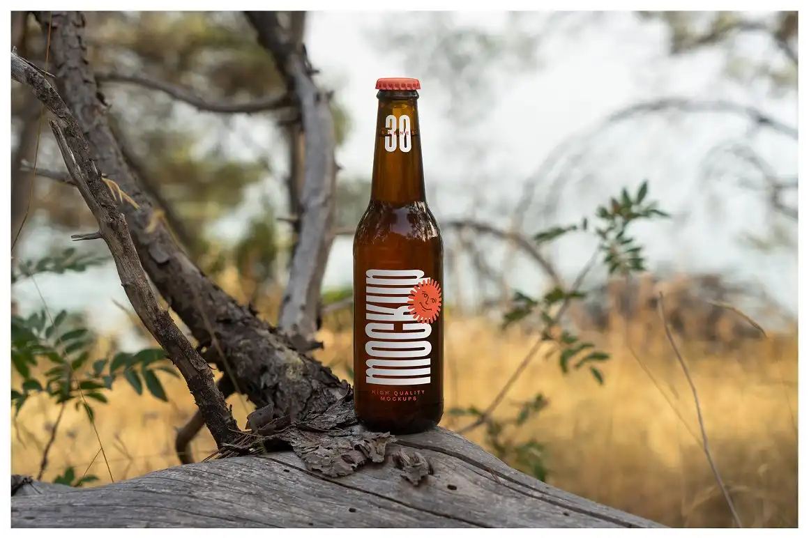 Bottle Mockups - Beer, Soda, Yerba 14 bottle mockups beer, soda, yerba (17) 40411