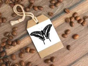 butterfly stamp brushes procreate graphics 23639449 9 580x386 39280