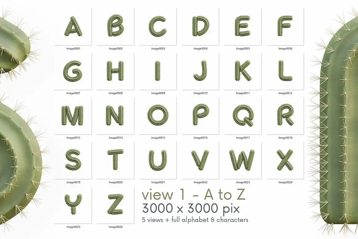 Cactus - 3D Lettering 7 cactus 3d lettering (5) 40107