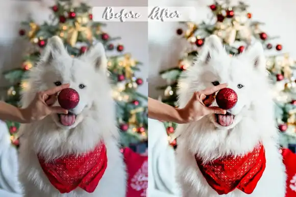Christmas Morning Lightroom Presets 14 christmas morning lightroom presets 2 35767