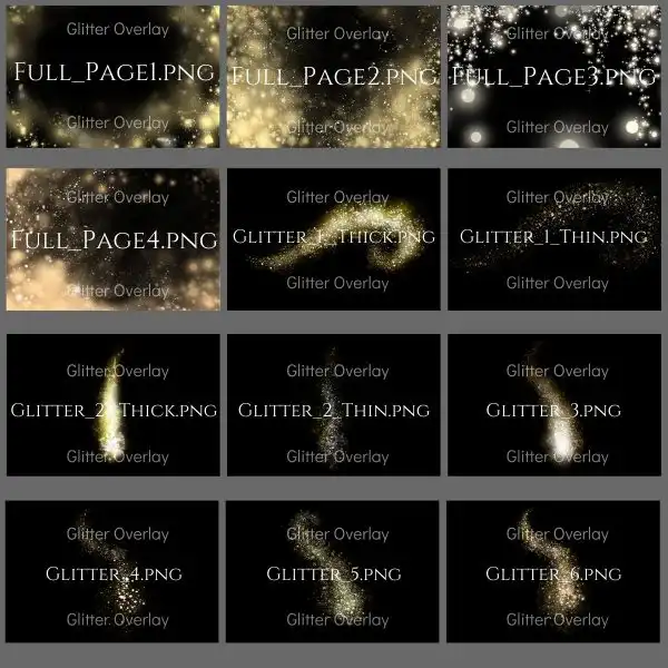 JD Magical Glitter Overlays & Brushes 20 jd magical glitter overlays & brushes20 34284