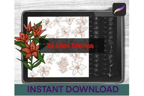 Lily Brushes Procreate Stamps