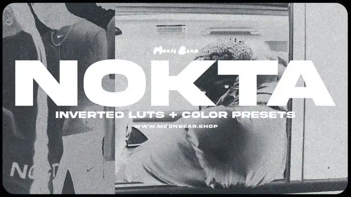 NOKTA INVERTED LUTS &amp; FILTERS