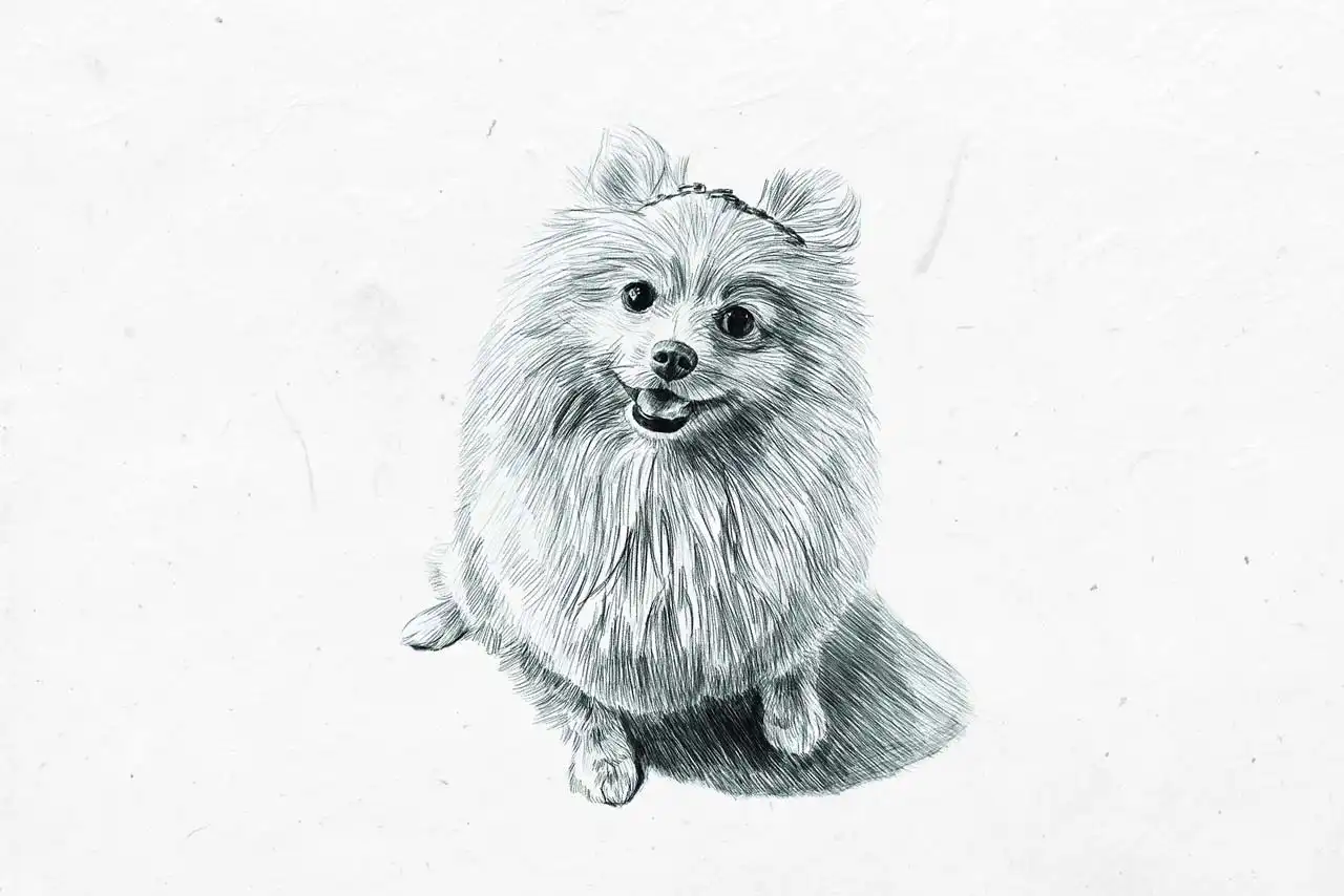 Pencil Brushes For Photoshop 3 pencil brushes for photoshop (4) 26534