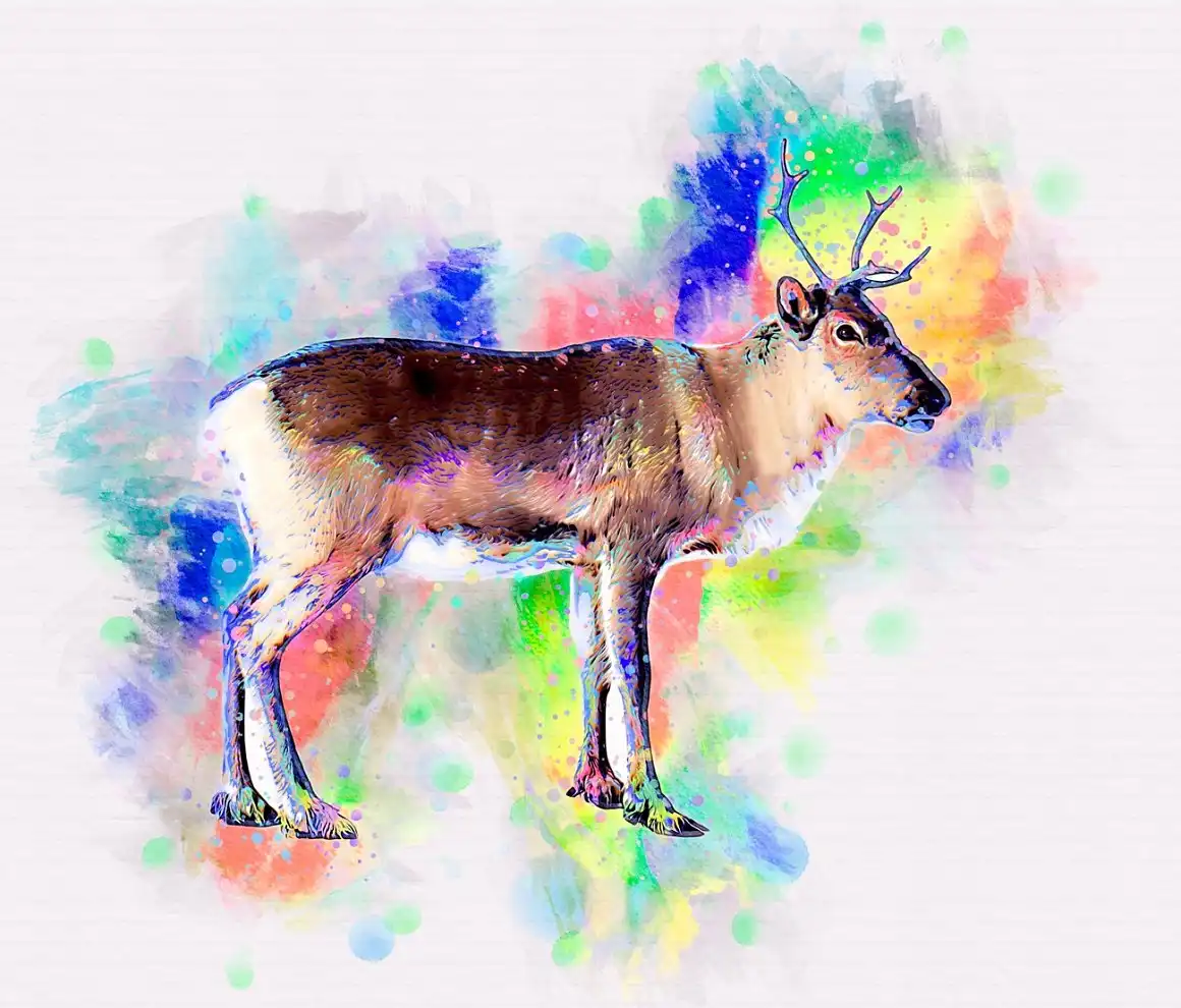 Pet Watercolor Art Plugin 2 5 pet watercolor art plugin (11) 41231