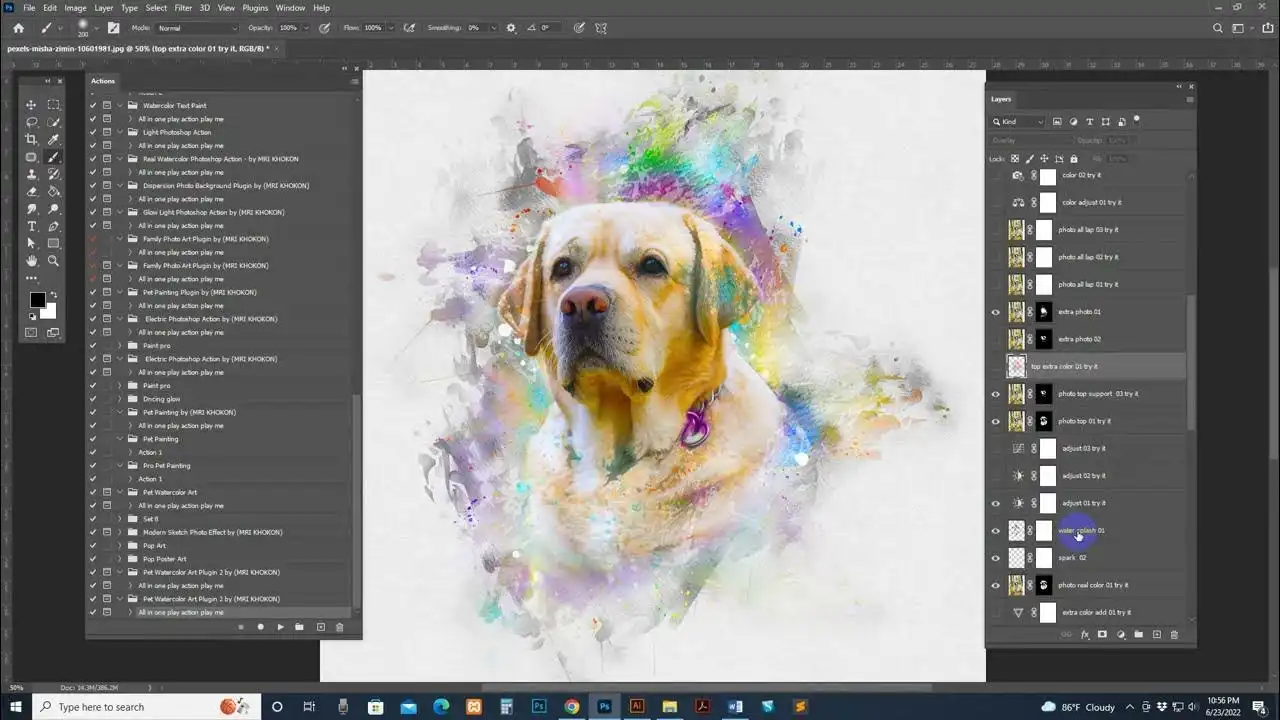 Pet Watercolor Art Plugin 2 12 pet watercolor art plugin 201 40565