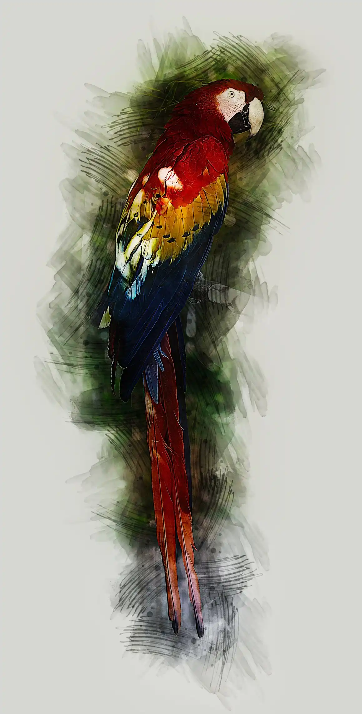 Pro Watercolor Paint 5 pro watercolor paint (12) 42236