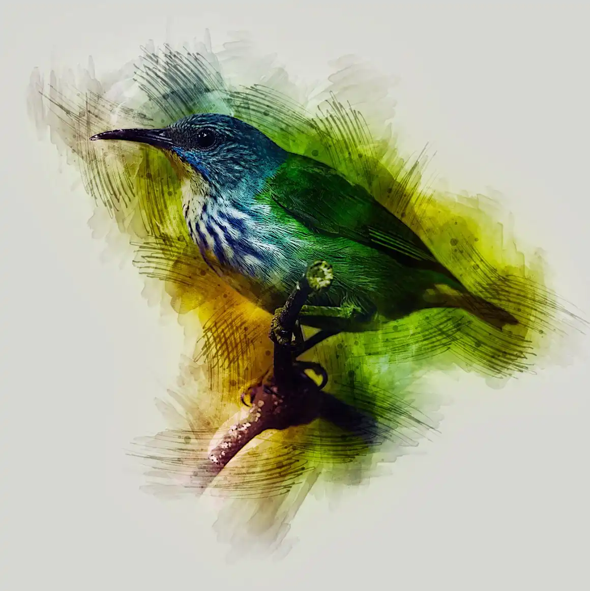 Pro Watercolor Paint 11 pro watercolor paint (2) 41019