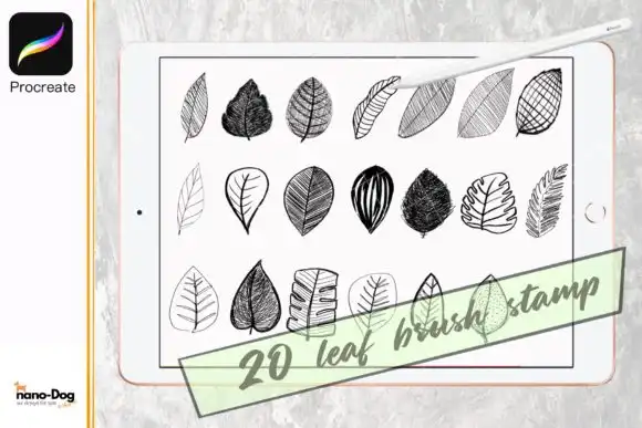 Procreate Brush Stamp Set 20 Leaf 3 procreate brush stamp set 20 leaf graphics 8809797 1 1 580x387 44476