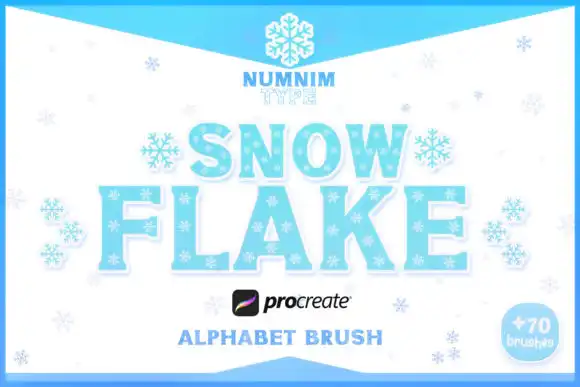 Procreate Brush Stamps SnowFlake Xmas