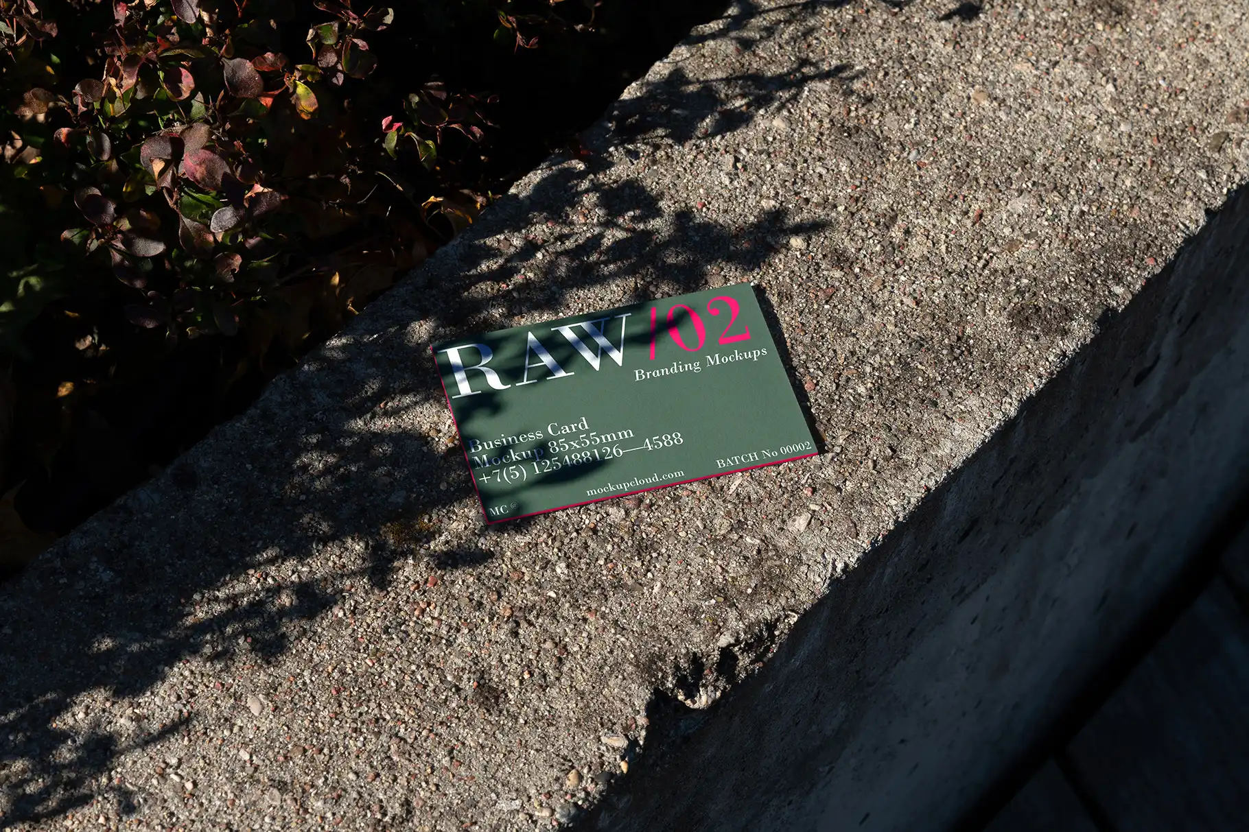Raw Branding Mockups - Batch 00002 4 raw branding mockups batch 0000221 43638