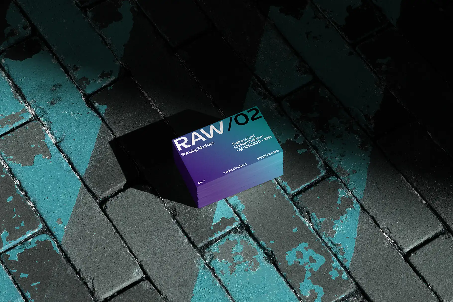 Raw Branding Mockups - Batch 00002 13 raw branding mockups batch 0000223 43300