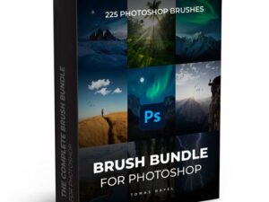 the complete brush bundle 64640