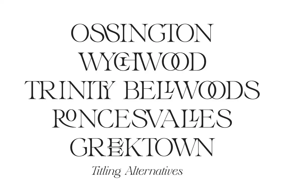 Annex — Display Font 5 annex — display font (2) 53027