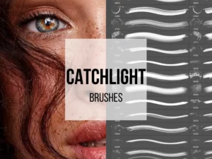 catchlight photoshop brushes 58351