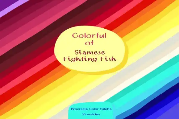 Colorlful of Siamese Fighting Fish 5 colorlful of siamese fighting fish graphics 8311936 1 1 580x386 (2) 52713