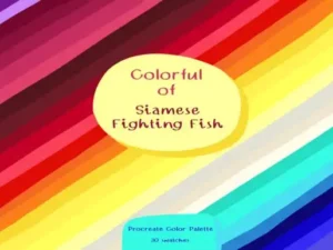 colorlful of siamese fighting fish graphics 8311936 1 1 580x386 52714