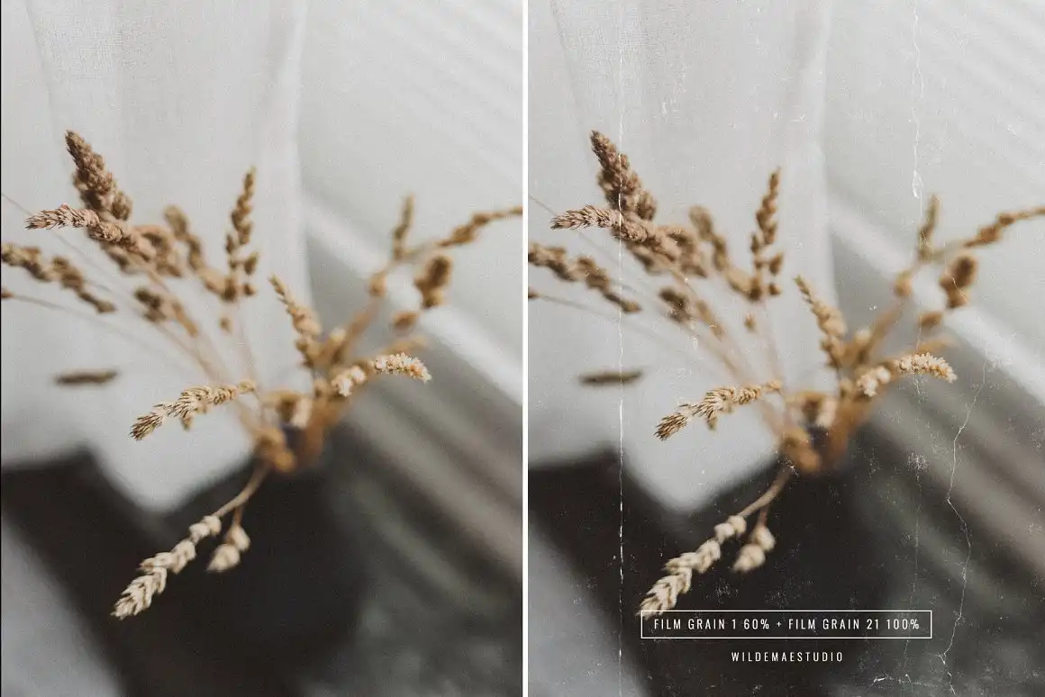 Film Grain Textures & Film Mockups 9 film grain textures & film mockups (4) 61725