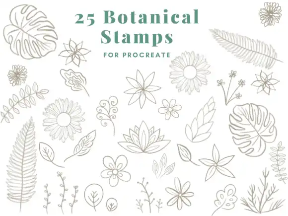 Procreate Brush Stamps Botanical