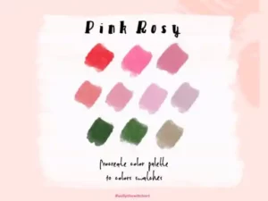 procreate color palette pink rosy 51627