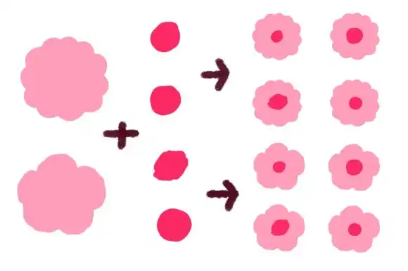 Procreate Stamp Brushes Blooming Flowers 12 procreate stamp brushesblooming flowers graphics 22110900 10 580x386 51616