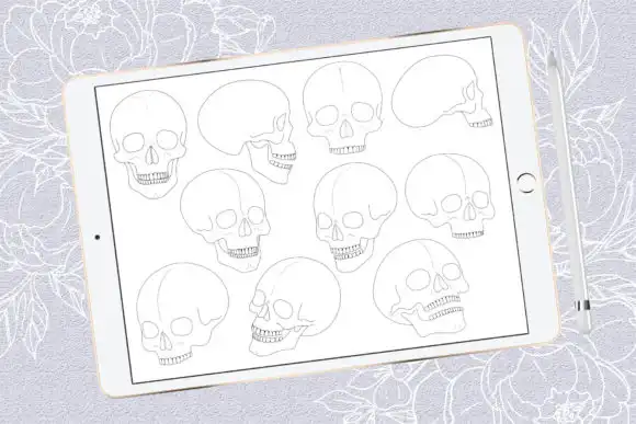 Skulls Procreate Stamp Brushes 3 skulls procreate stamp brushes 1 52471