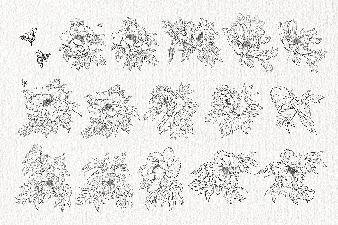 Stamp brushes for Procreate peonies 3 stamp brushes for procreate peonies (2) 61240