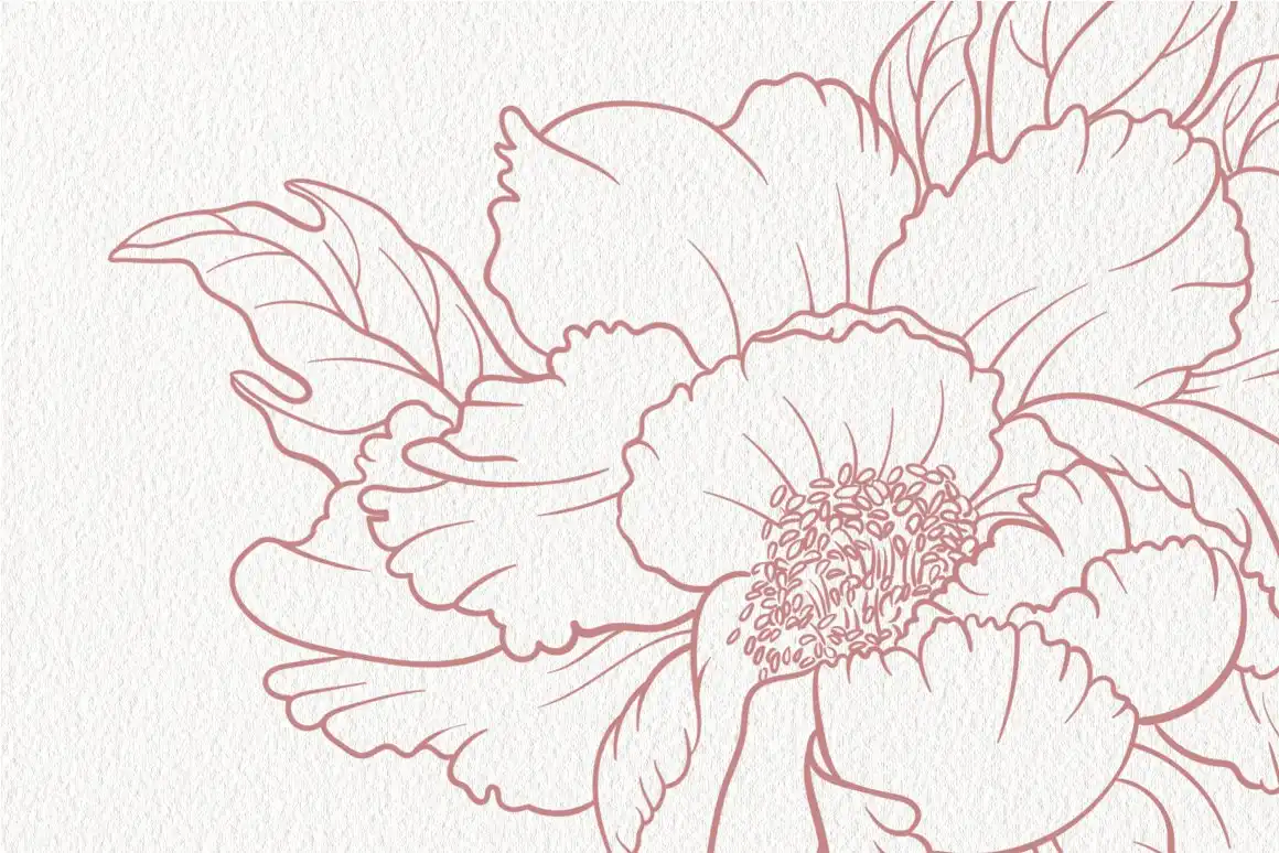 Stamp brushes for Procreate peonies 6 stamp brushes for procreate peonies (4) 60874