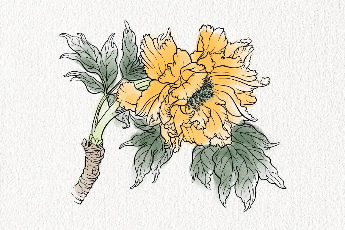 Stamp brushes for Procreate peonies 5 stamp brushes for procreate peonies (5) 61101