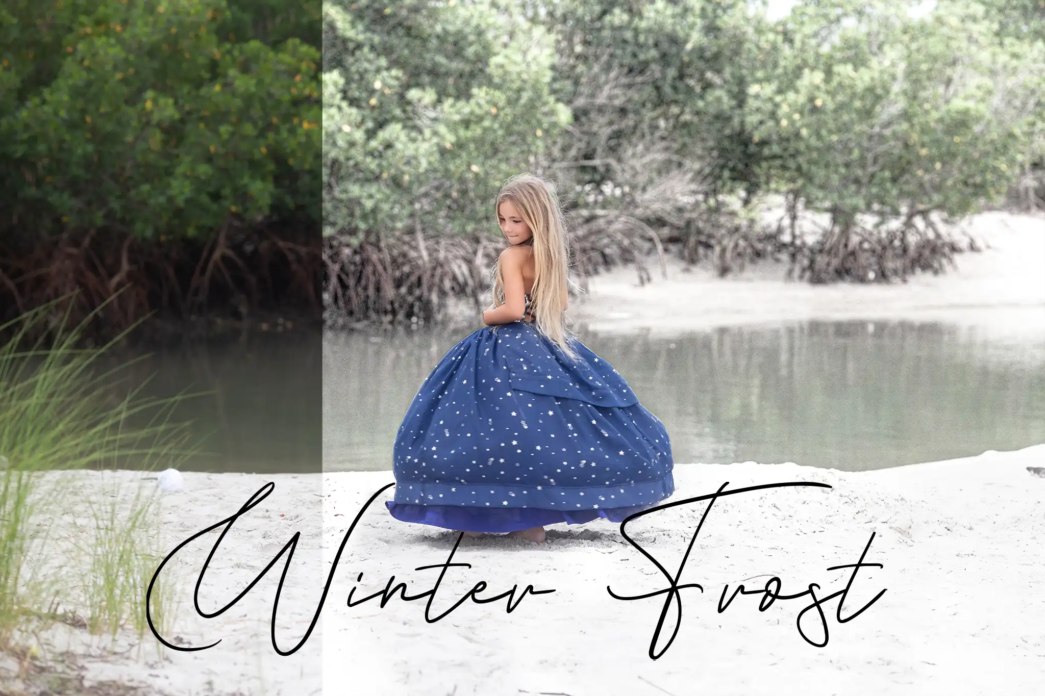 Winter Frost