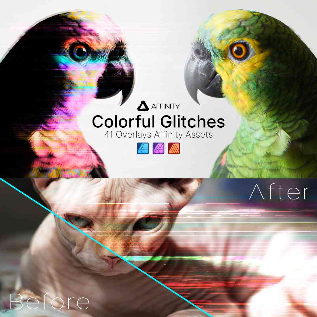 Affinity Photo, Designer & Publisher Add-Ons Colorful Glitches Assets 3 affinity photo, designer & publisher add ons colorful glitches assets2 67469