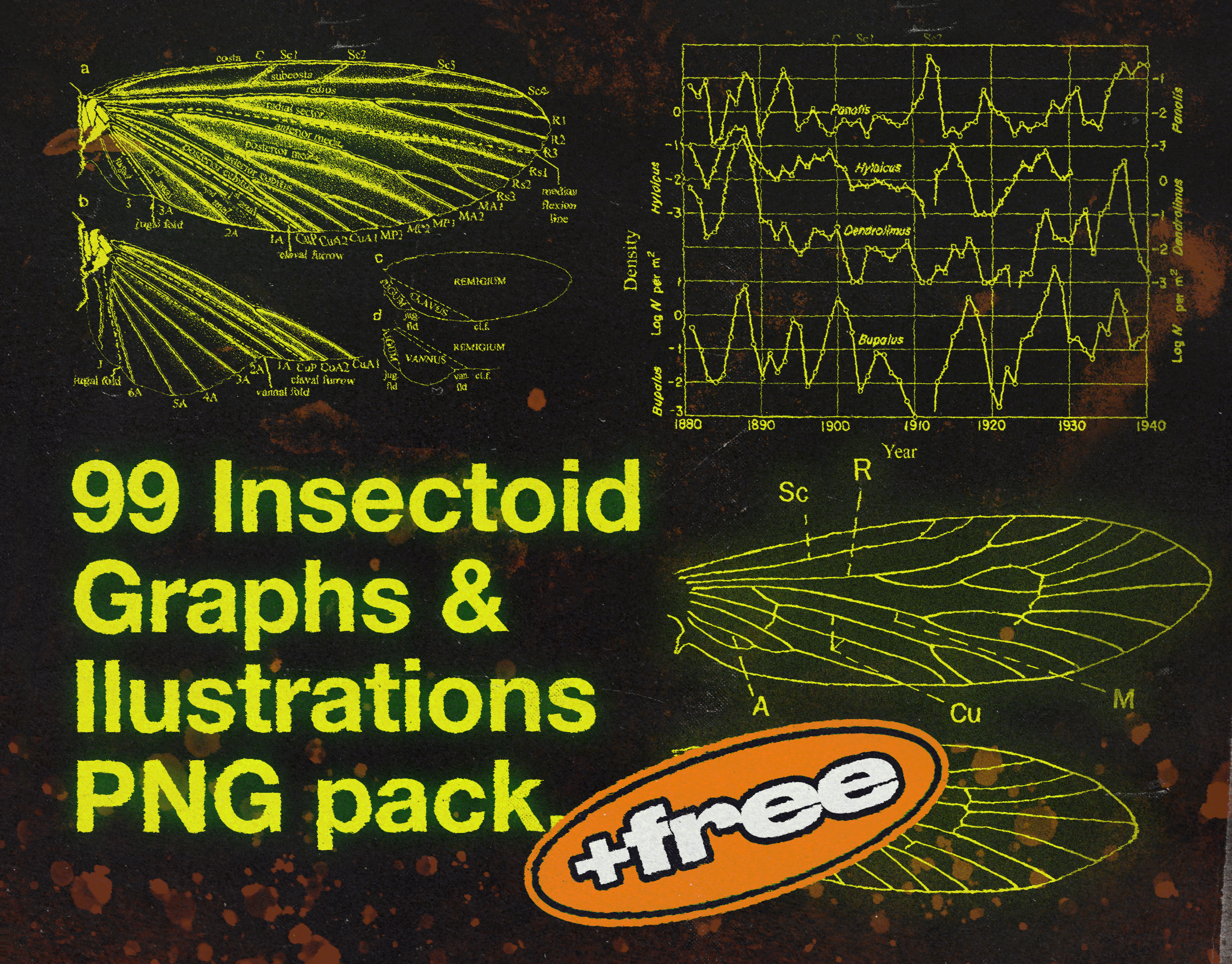 Insectoid Icons & Graphs pack bundle