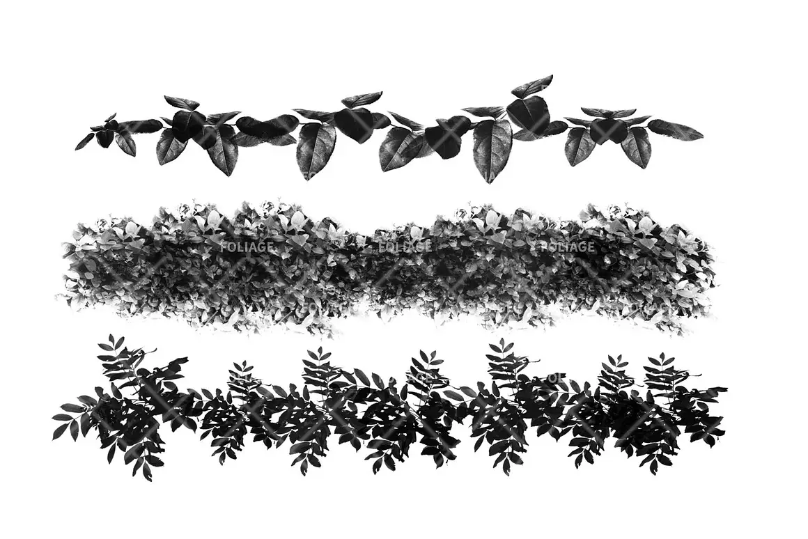 Foliage brush set 4 foliage brush set2 67716
