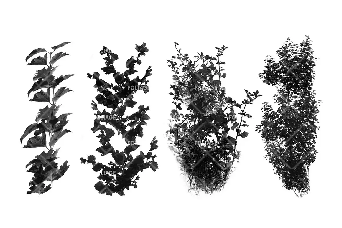 Foliage brush set 9 foliage brush set3 67717
