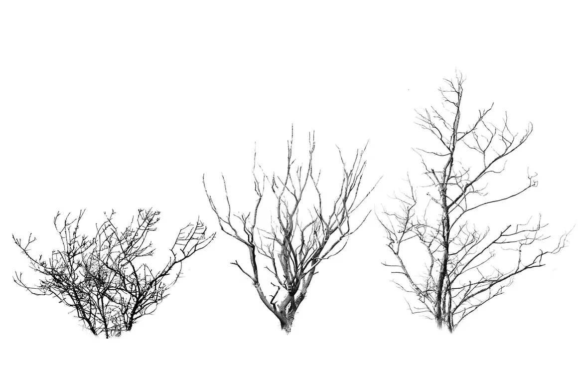 Foliage brush set 8 foliage brush set4 67718