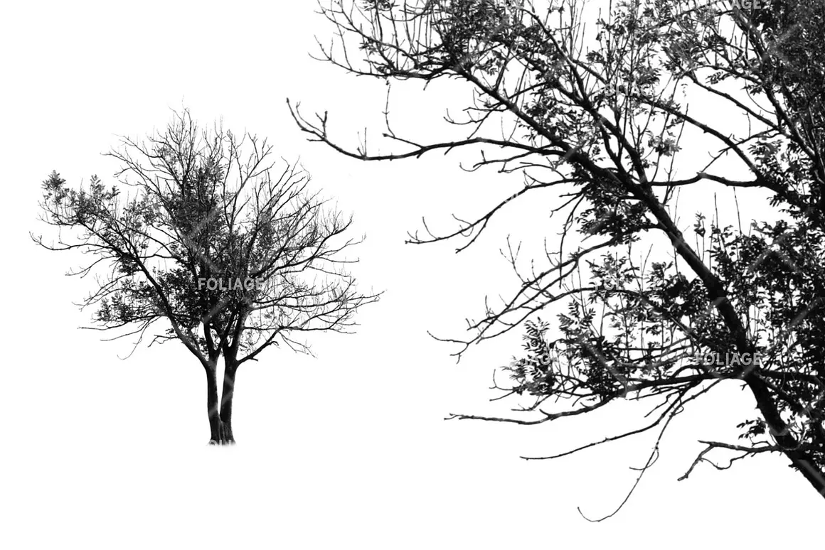 Foliage brush set 6 foliage brush set6 67720