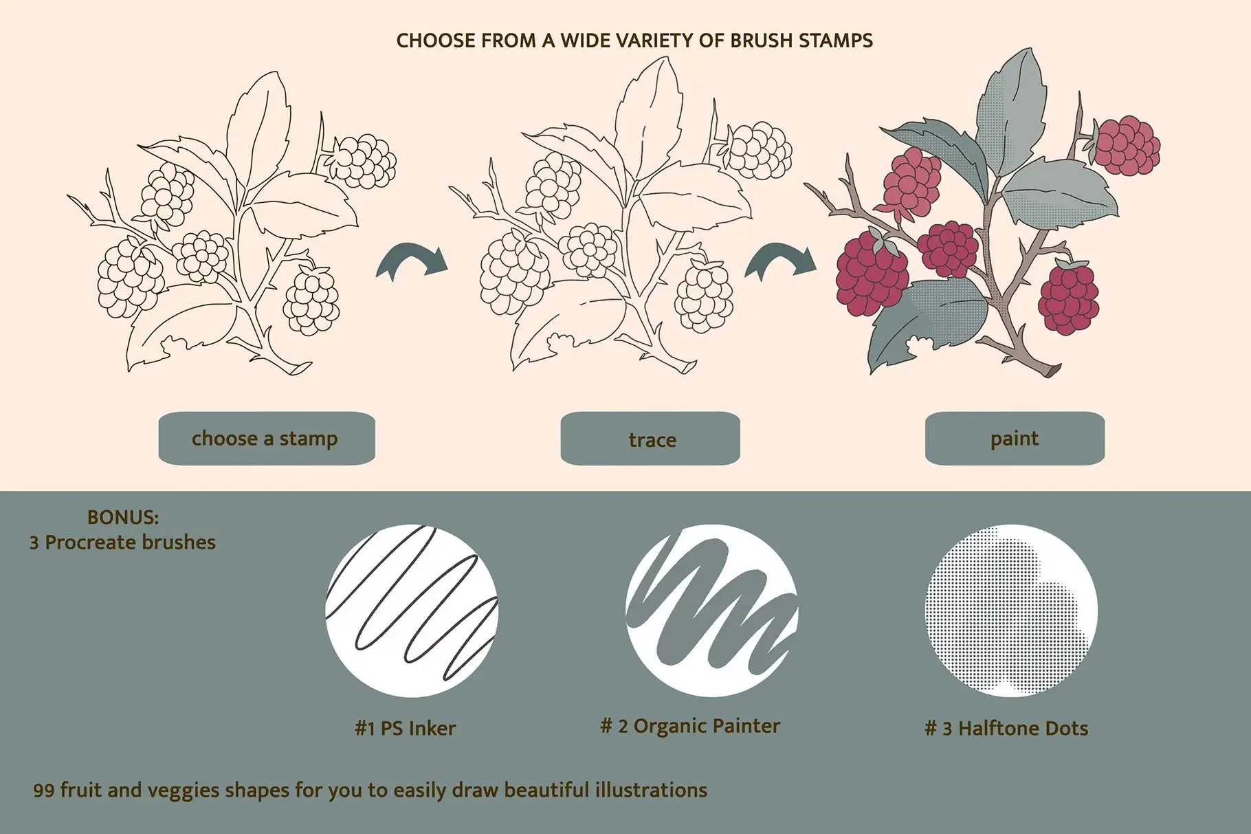 Fruit & Veggies Brushes Kit – Procreate 9 fruit & veggies brushes kit – procreate2 66987