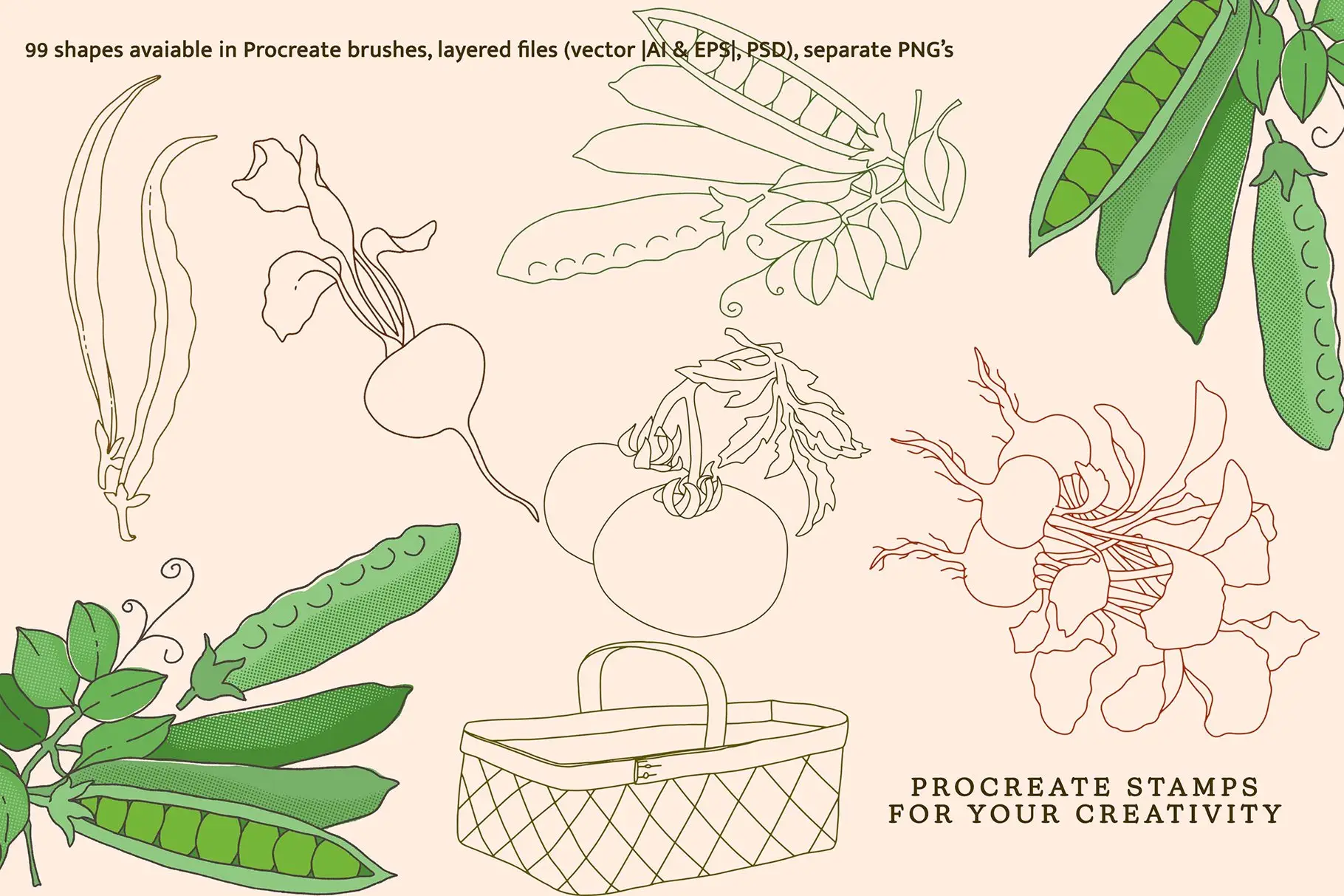 Fruit & Veggies Brushes Kit – Procreate 5 fruit & veggies brushes kit – procreate7 67019