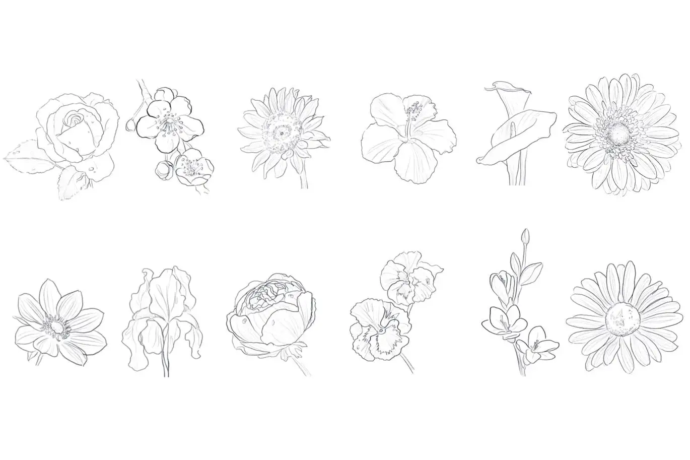 10 Flowers Stamps Procreate 4 10 flowers stamps procreate (2) 69029