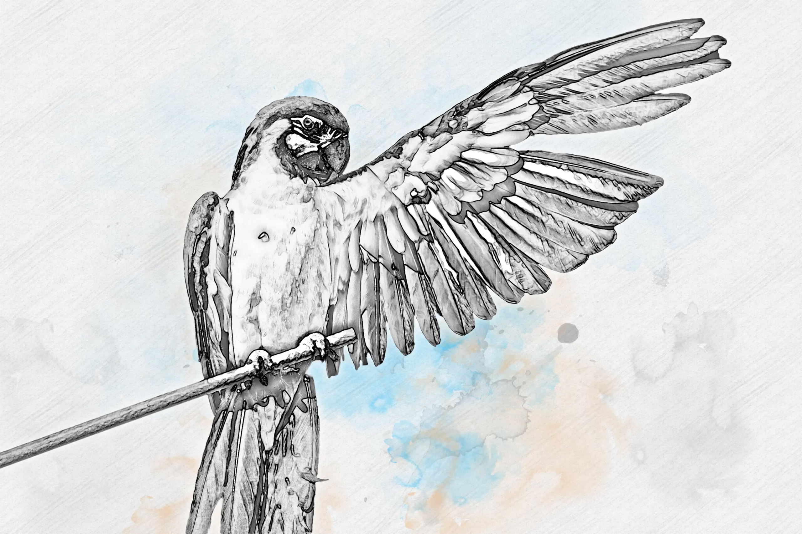 Pencil Photoshop Action1 4 pencil sketch drawing photoshop effect6 72188