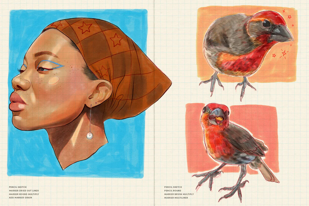Daily Sketch – Procreate Brushes 14 daily sketch – procreate brushes (12) 78474