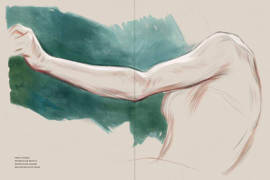 Daily Sketch – Procreate Brushes 8 daily sketch – procreate brushes (6) 78485
