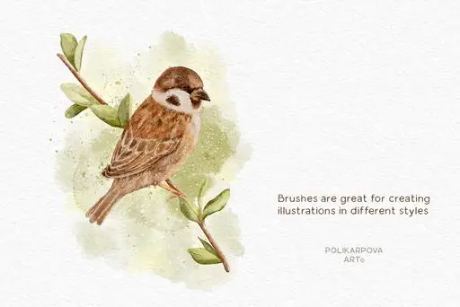 Delicate Watercolor - realistic watercolor brushes and canvases for Procreate 12 delicate watercolor realistic watercolor brushes and canvases for procreate10 81065
