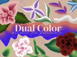 dual color brushes for procreate 77279