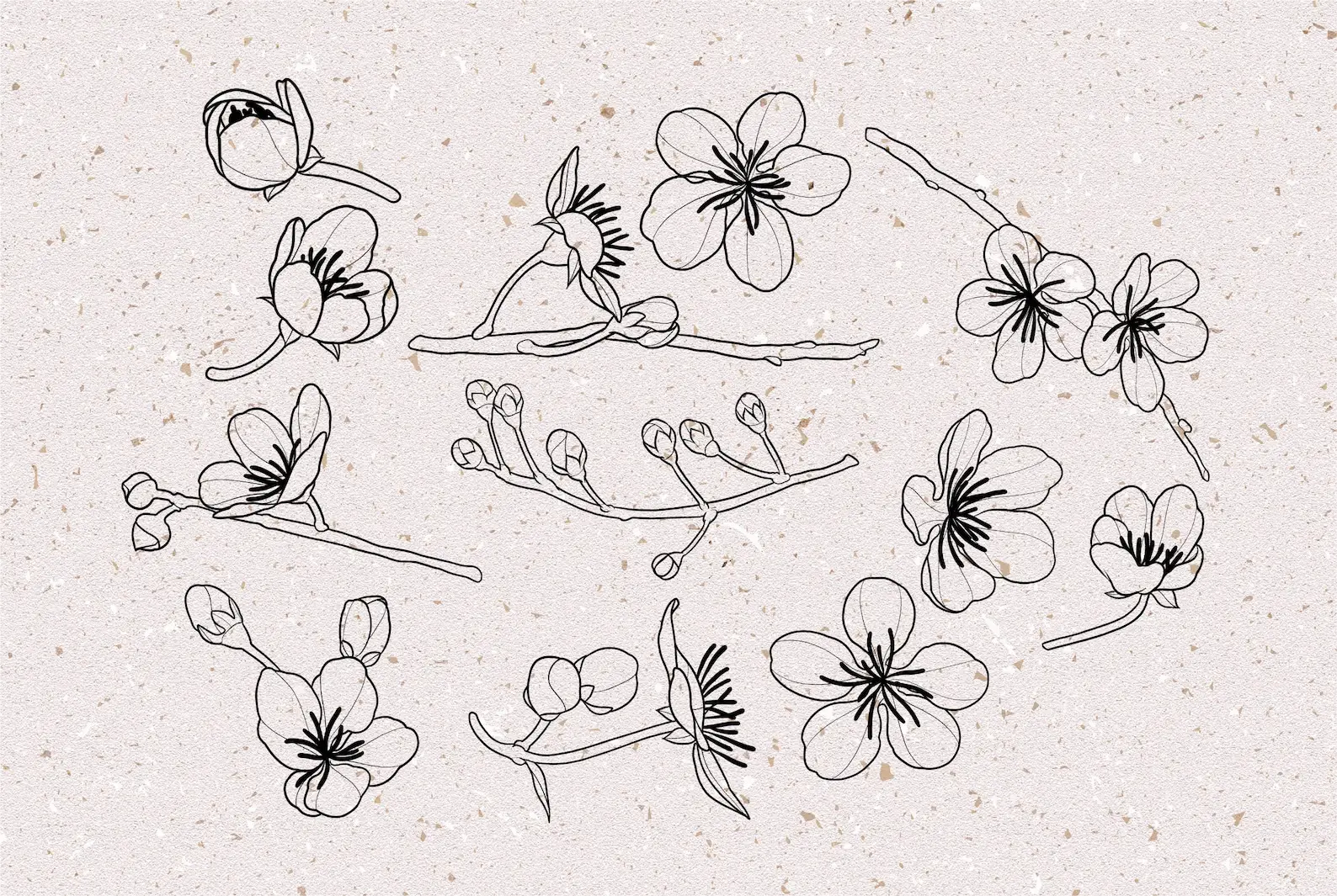 Cherry blossom stamps procreate 7 cherry blossom stamps procreate (4) 83010