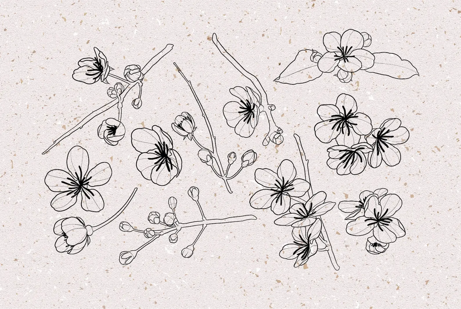 Cherry blossom stamps procreate 5 cherry blossom stamps procreate (5) 83012