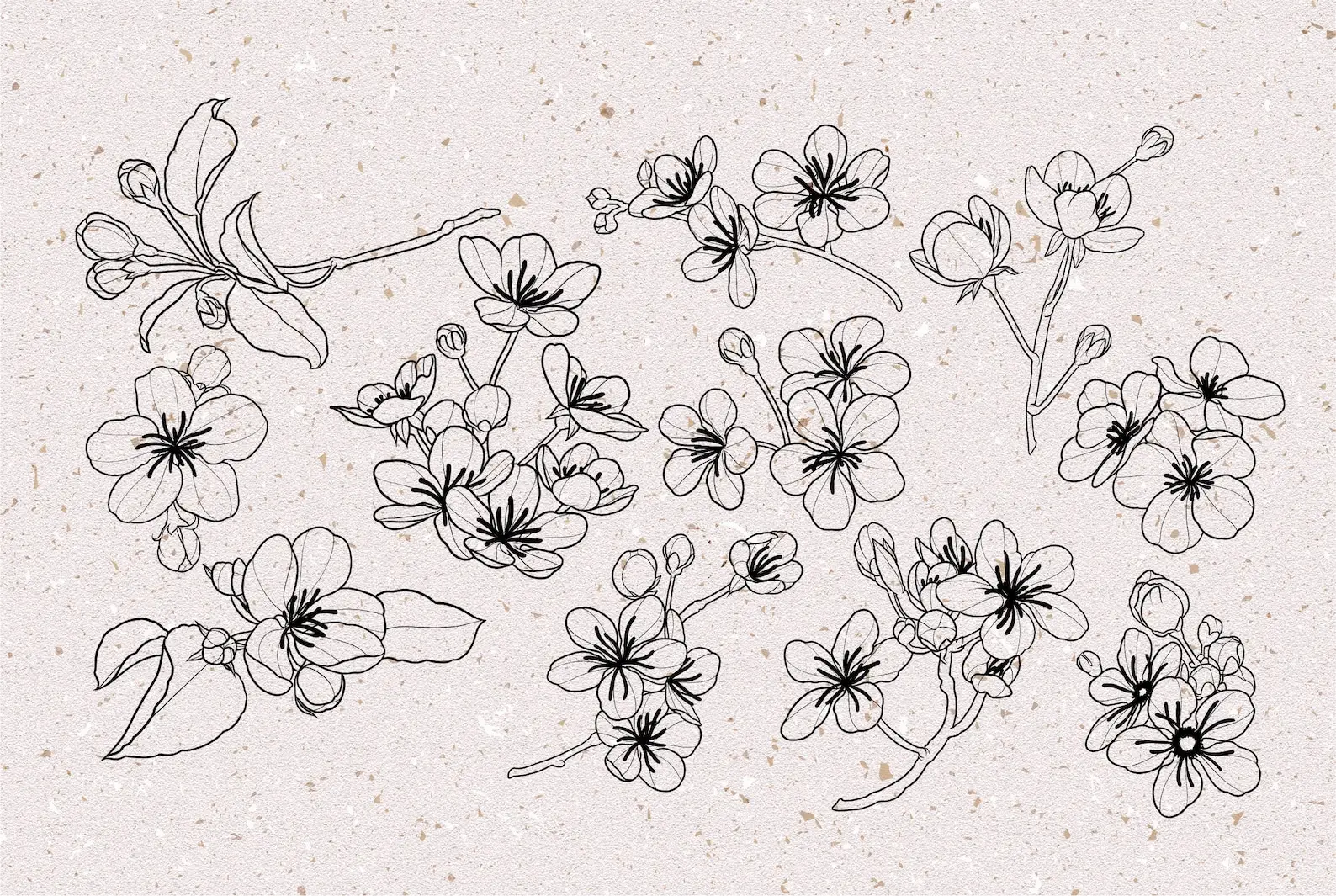 Cherry blossom stamps procreate 4 cherry blossom stamps procreate (6) 83013