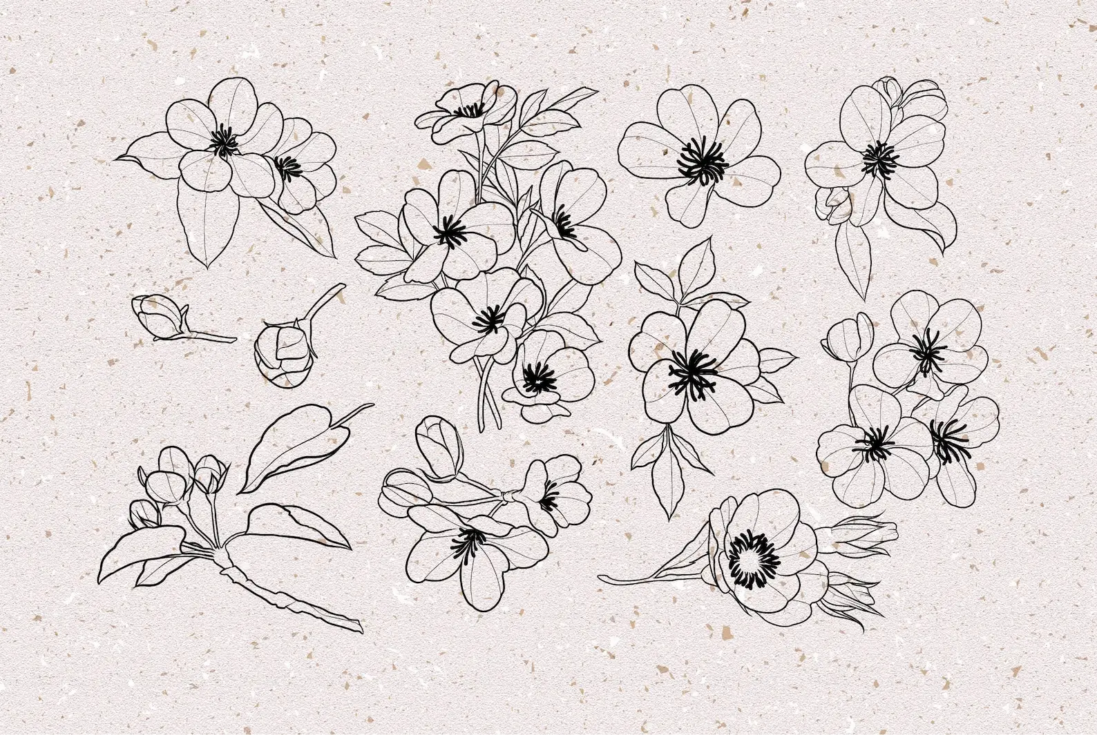 Cherry blossom stamps procreate 6 cherry blossom stamps procreate (7) 83011