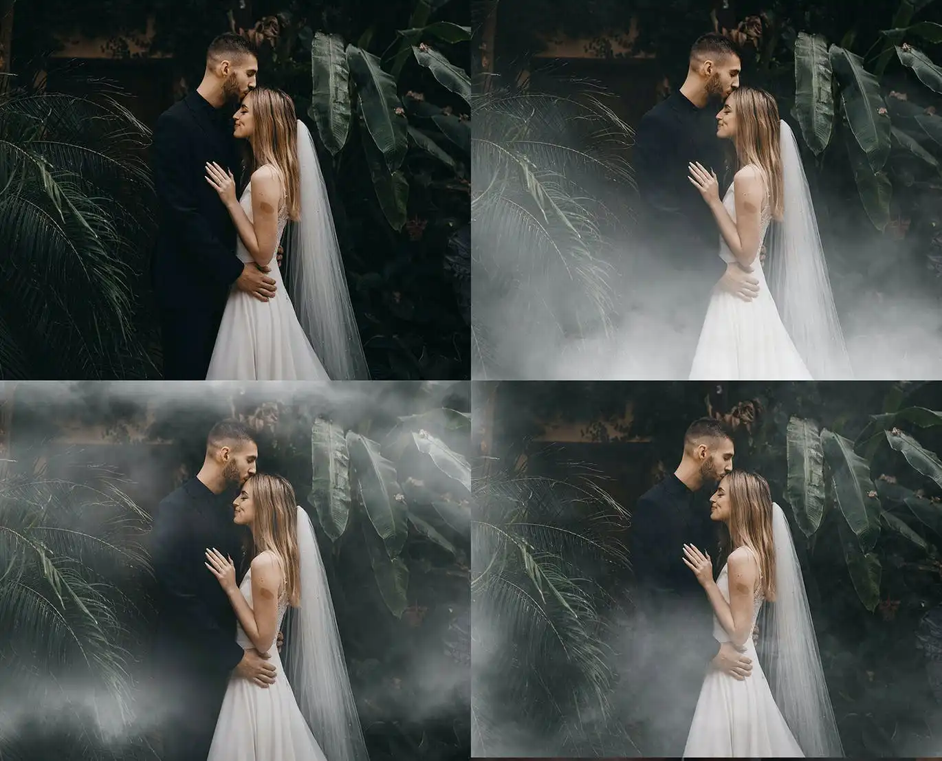 15 Fog Overlays, Smoke Overlays, Free Gif Animated 6 15 fog overlays, smoke overlays, free gif animated (4) 87999