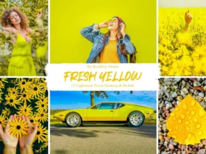 15 fresh yellow lightroom presets (4) 88084